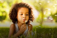 Child Custody